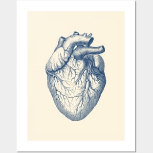 Human Heart - Vintage Medical Diagram Posters and Art